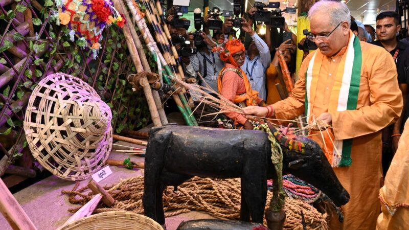 कृषि हितैषी योजनाओं ने लौटाया हरेली का उत्साह: मुख्यमंत्री श्री बघेल