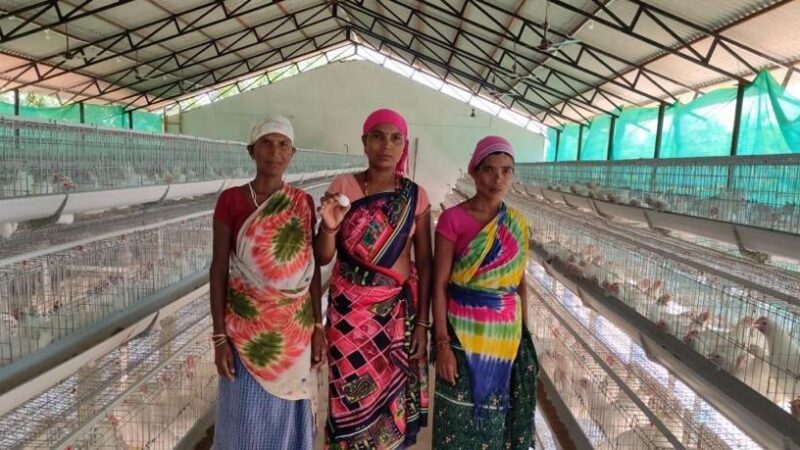 कुक्कुट पालन बना रोजगार का जरिया
