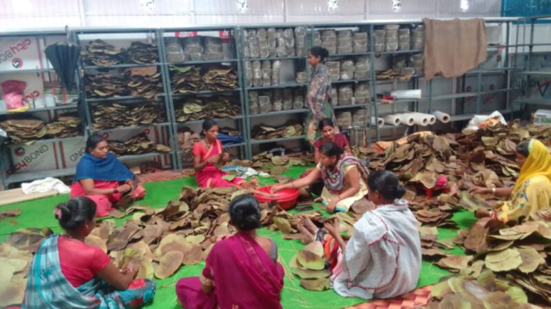 दोना-पत्तल निर्माण कर लक्ष्मी समूह की महिलाएं बन रहीं आत्मनिर्भर
