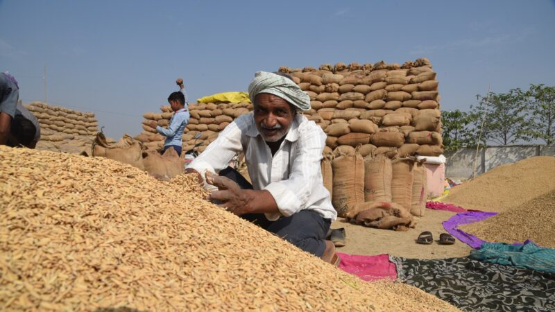 आलेख:किसानों की खुशियों से छलका धान के कटोरे के प्रदेश का सुख-डॉ. ओम डहरिया