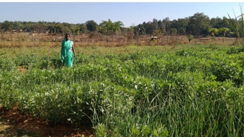 मत्स्य पालन के साथ साग-सब्जी की भी कर रही हैं खेती