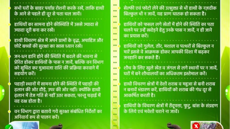 वन्य प्राणी सुरक्षा सप्ताह: स्कूली बच्चों की ड्रॉइंग-पेंटिंग, स्लोगन, निबंध एवं क्विज प्रतियोगिता आयोजित