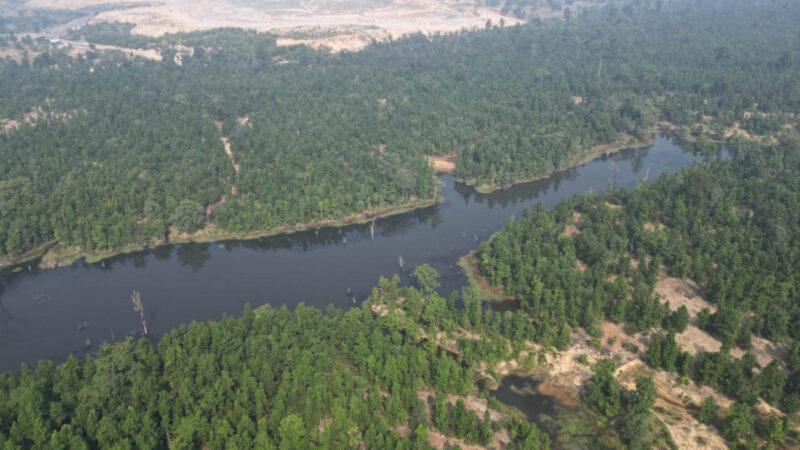 ग्रीन जीडीपी के लिए पारिस्थितिकी तंत्र का मूल्यांकन शुरू करने वाला छत्तीसगढ़ बना देश का पहला राज्य